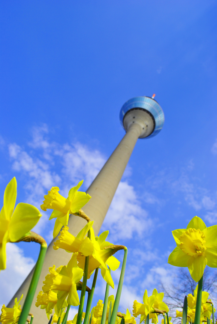 Düsseldorf