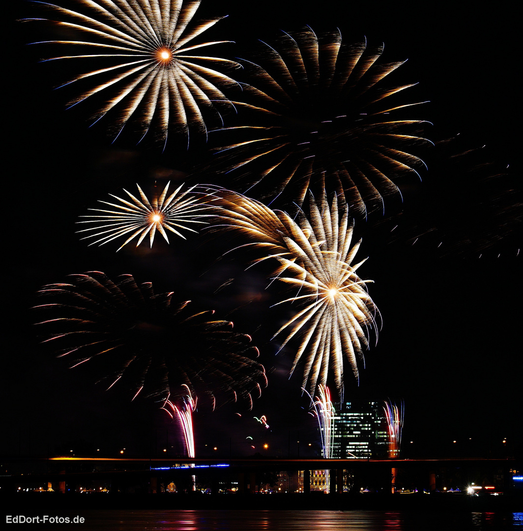 Düsseldorf Feuerwerk am Japantag Foto & Bild | düsseldorf, feuerwerk