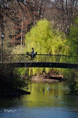 Düsseldorf - Friedrichstadt - Idylle am Ständehaus