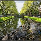 Düsseldorf  -  Frühling am Kö-Graben