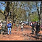 Düsseldorf - Frühling am Kö-Graben II