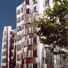 Düsseldorf - Hafen, Gehry-Bau