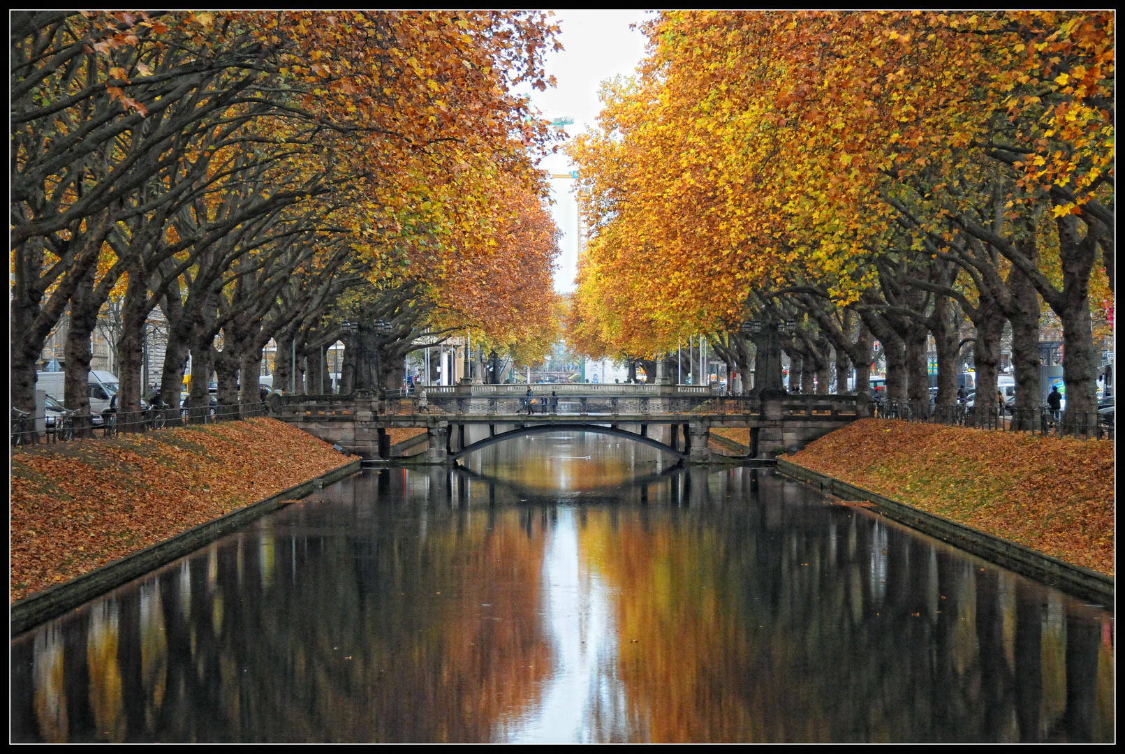 Düsseldorf  -  Herbst am Kö-Graben