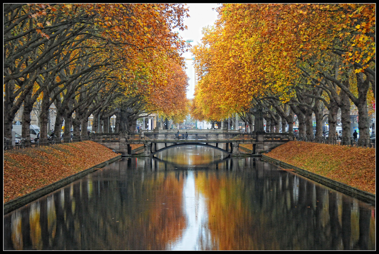 Düsseldorf   Herbst am Kö-Graben