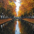 Düsseldorf - Herbst am Kö-Graben