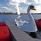 Düsseldorf - Heute am Unterbacher See