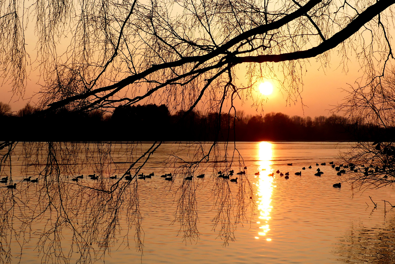 Düsseldorf - Heutiger Sonnenuntergang am Unterbacher See