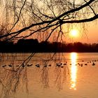 Düsseldorf - Heutiger Sonnenuntergang am Unterbacher See