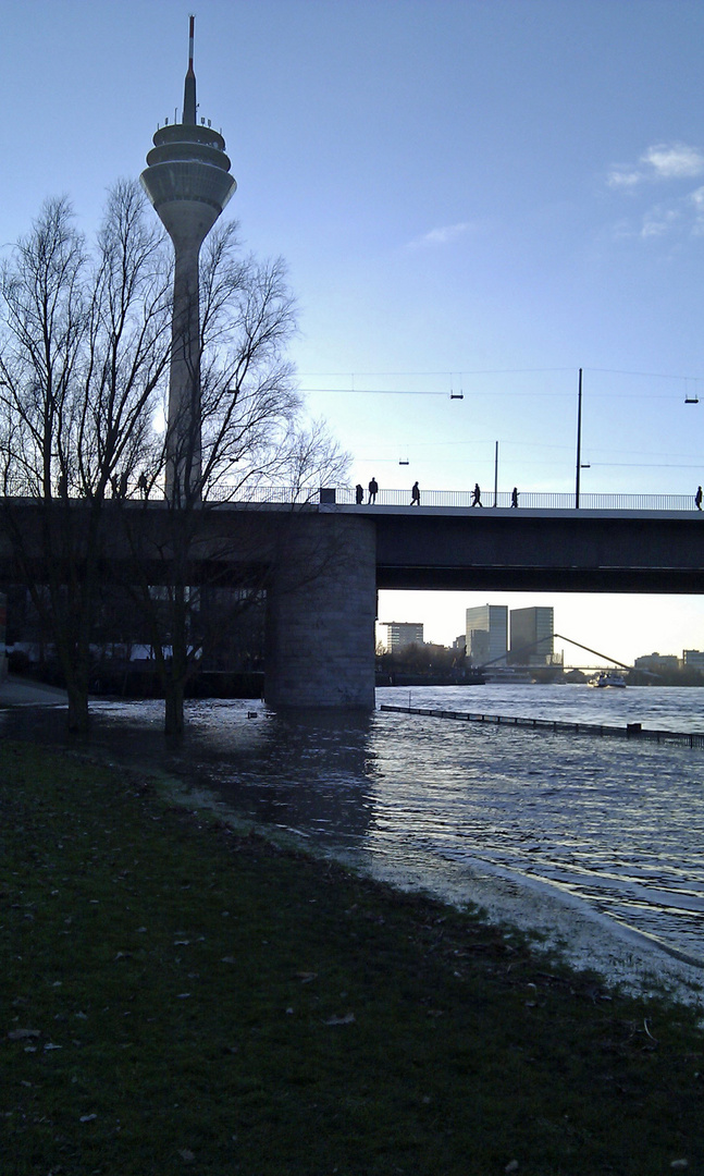 Düsseldorf Hochwasser Blick auf den Rheinturm