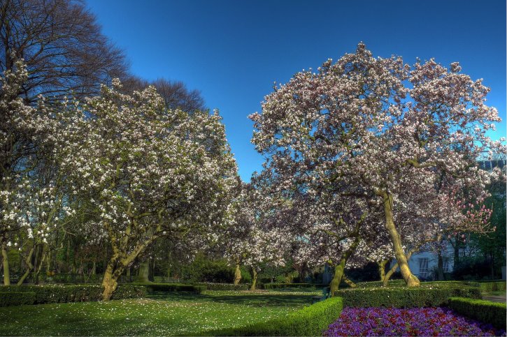 Düsseldorf Hofgarten