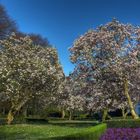 Düsseldorf Hofgarten