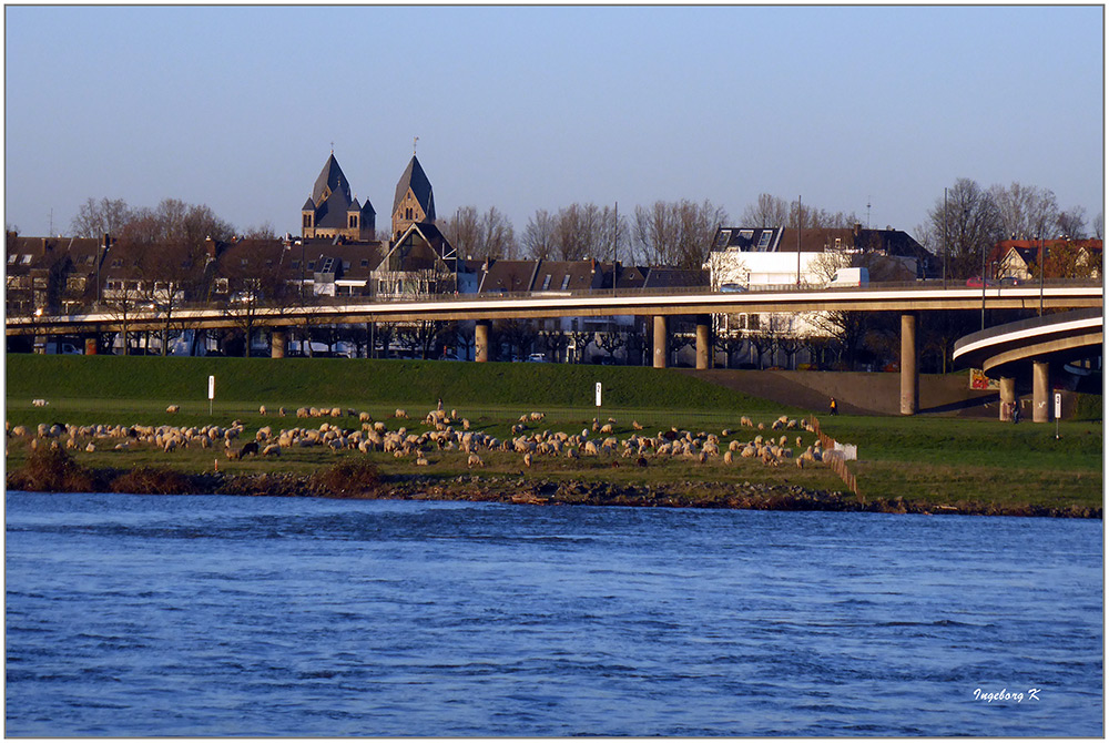 Düsseldorf - idyllisches Ufer in Oberkassel