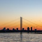 Düsseldorf im Abendleuchten