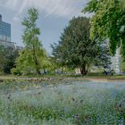 Düsseldorf im Frühling: kleiner Park an der Königsallee