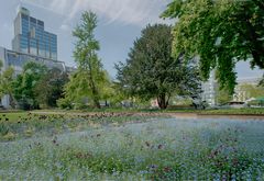 Düsseldorf im Frühling: kleiner Park an der Königsallee