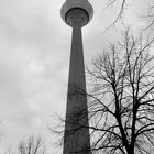 Düsseldorf in BW (3)