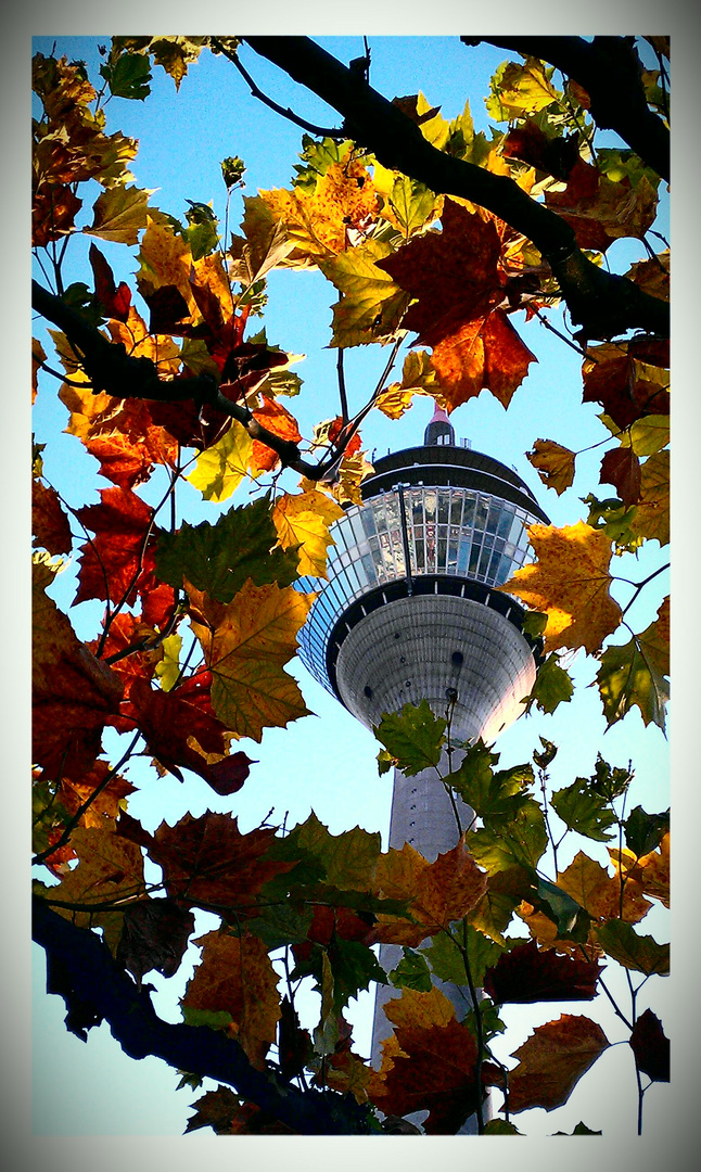 Düsseldorf in den schönsten Herbstfarben.