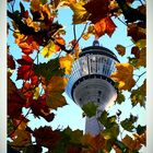 Düsseldorf in den schönsten Herbstfarben.