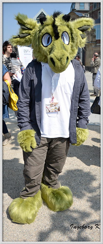 Düsseldorf - Japan-Fest 2014 - Große Augen und Ohren auf Samtpfoten