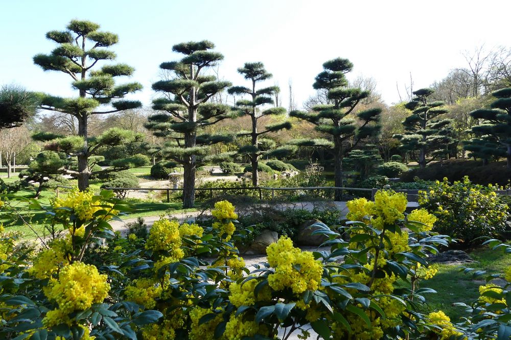 Düsseldorf Japanischer Garten im Nordpark Foto & Bild