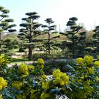 Düsseldorf - Japanischer Garten im Nordpark