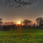 Düsseldorf Kaiserswerth: Sonnenuntergang Rheinauen