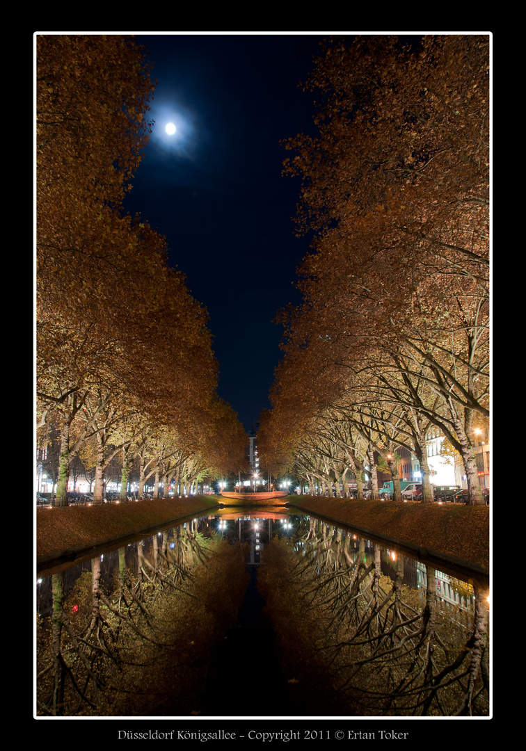 Düsseldorf Königsallee im Herbst und bei Nacht