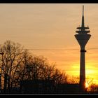 Düsseldorf - März-Nachmittag