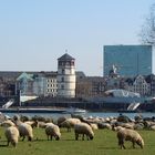 Düsseldorf, mal von der 'anderen' Seite