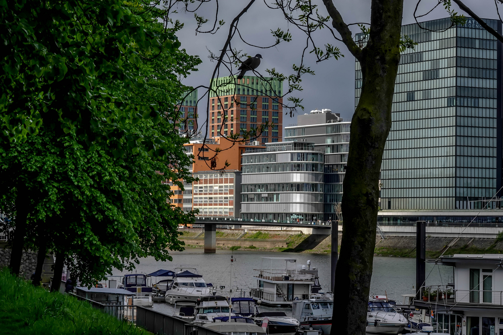 Düsseldorf - Medienhafen