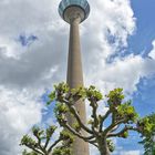 Düsseldorf-Medienhafen-Rheinturm