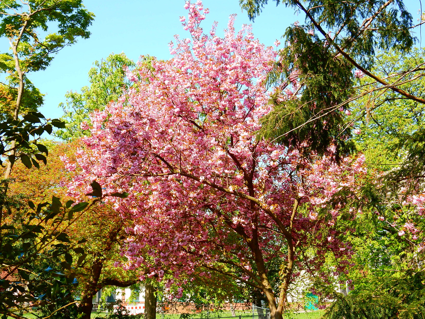 Düsseldorf Nordpark