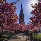 Düsseldorf Oberbilk