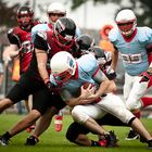 Düsseldorf Panther Prospects vs. Bonn Gamecocks #2