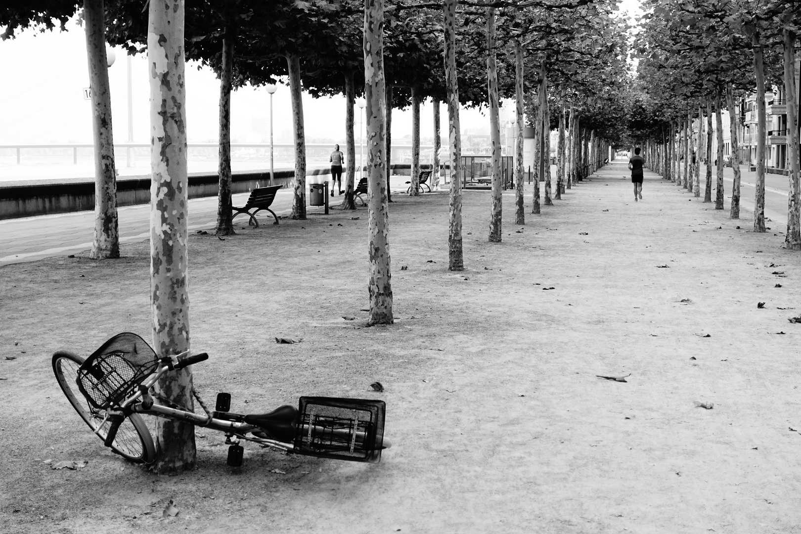 Düsseldorf Promenade