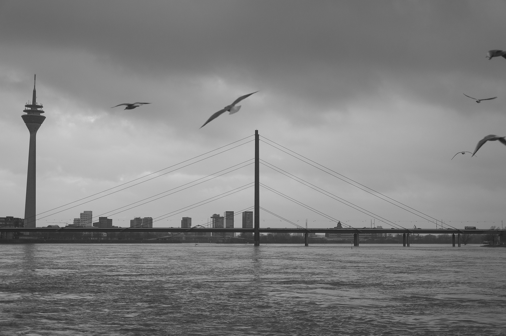 Düsseldorf, Rhein Monochrom