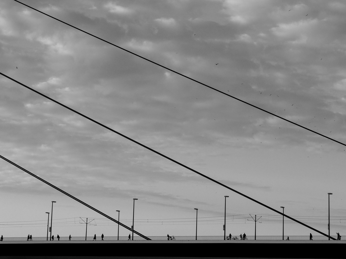 Düsseldorf Rheinbrücke