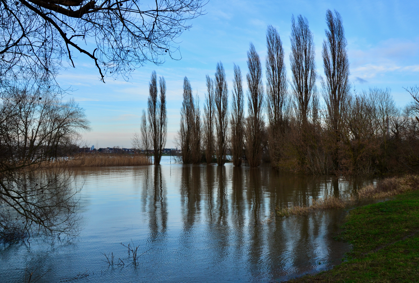 Düsseldorf Rheinhochwasser 2021