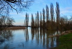 Düsseldorf Rheinhochwasser 2021