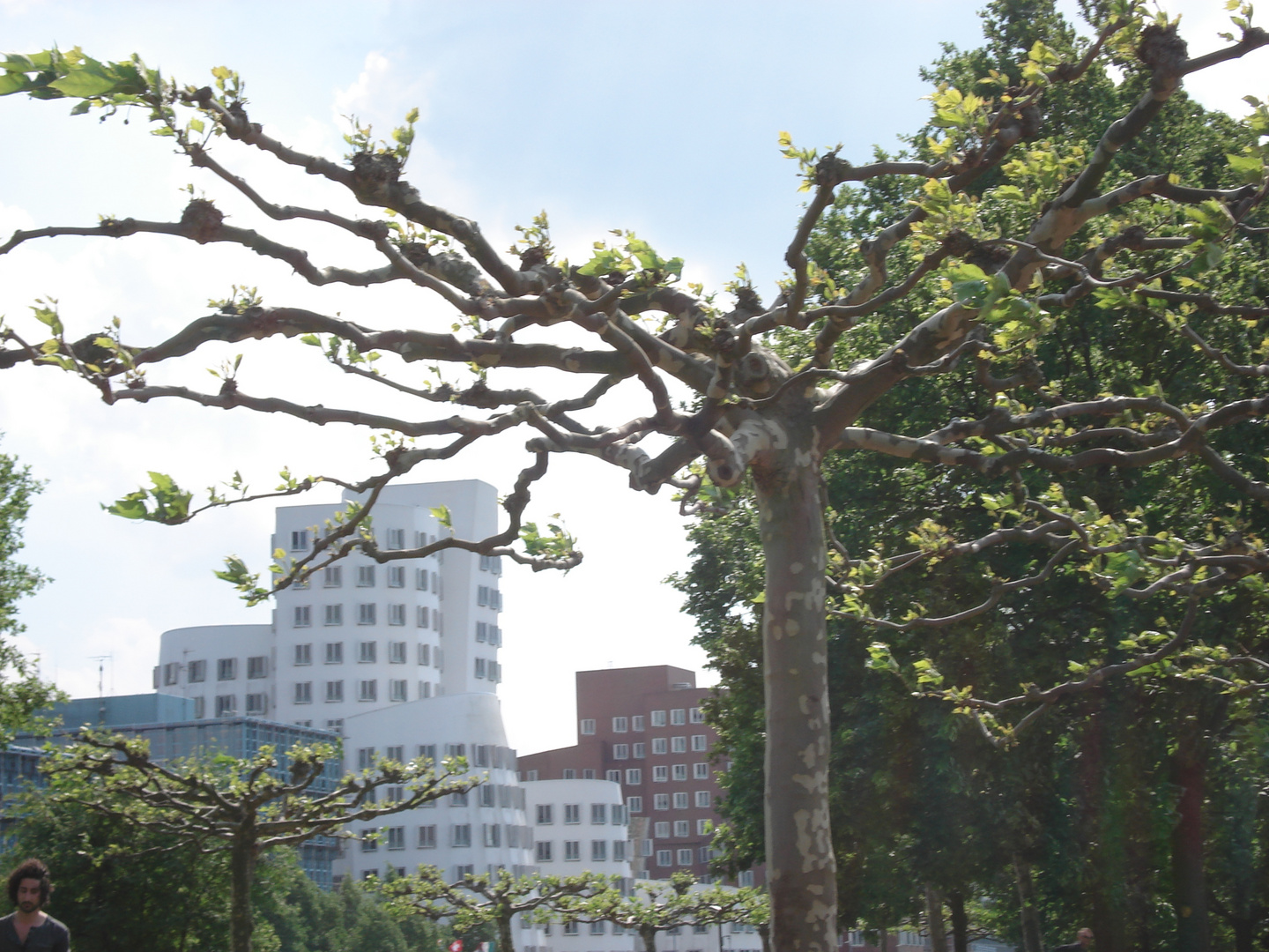 Düsseldorf - Rheinpromenade