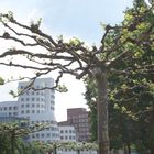 Düsseldorf - Rheinpromenade