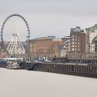 Düsseldorf Rheinpromenade II