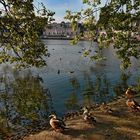 DÜSSELDORF - Schloss Benrath -