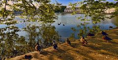 DÜSSELDORF - Schloss und Park Benrath -