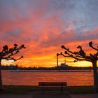 Düsseldorf - Sonnenbank