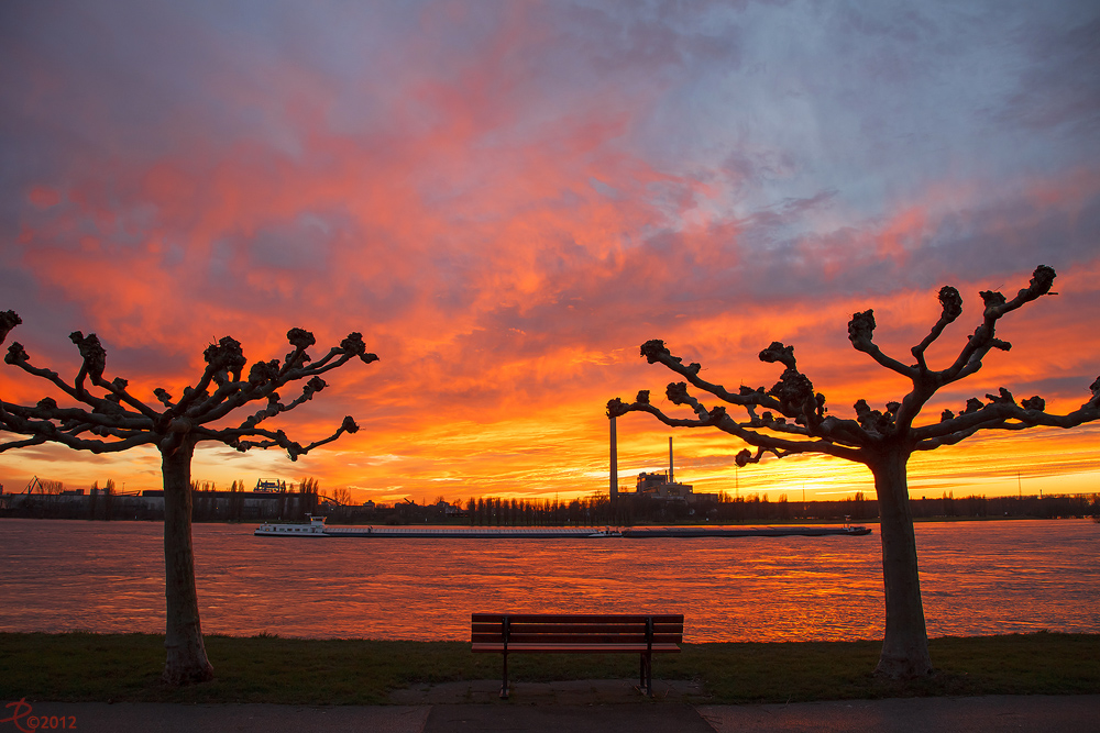 Düsseldorf - Sonnenbank