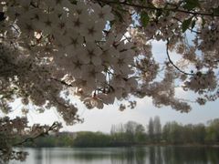 Düsseldorf-Südpark