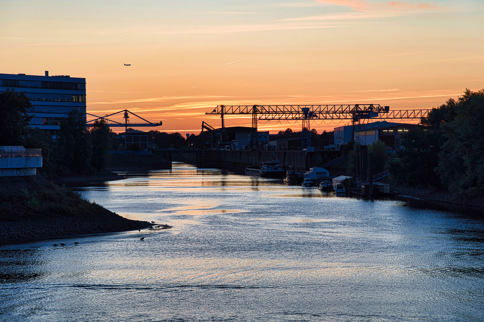 Düsseldorfer Hafen