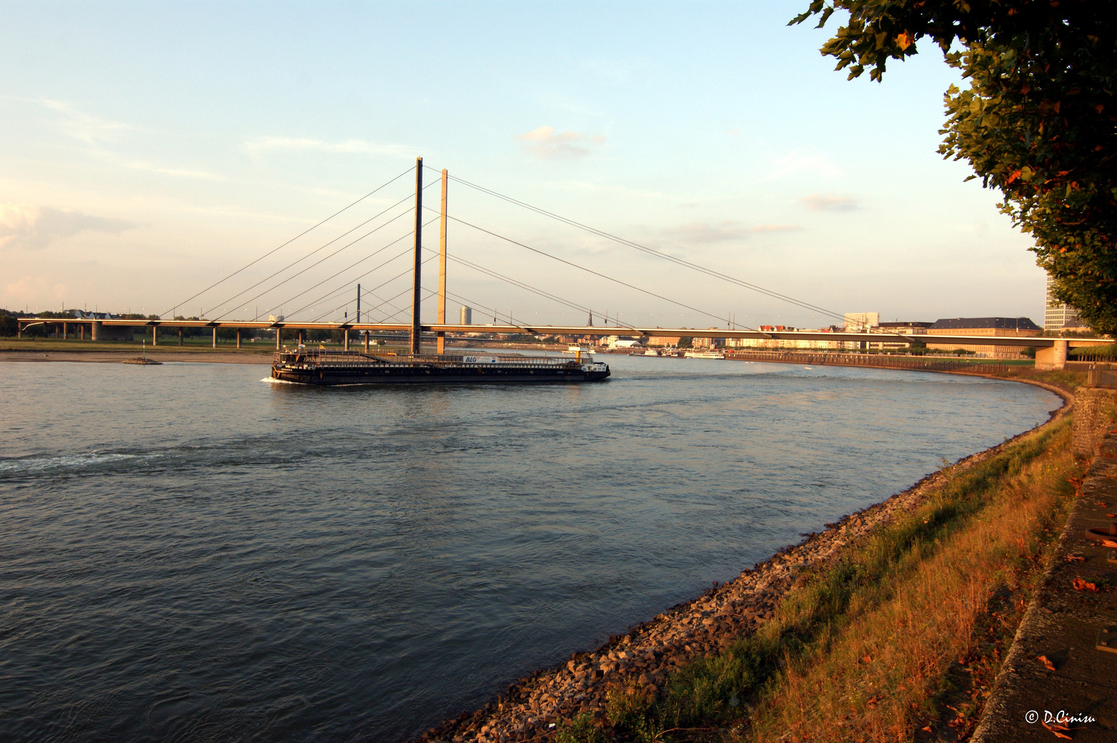 Düsseldorfer Herbstzeit