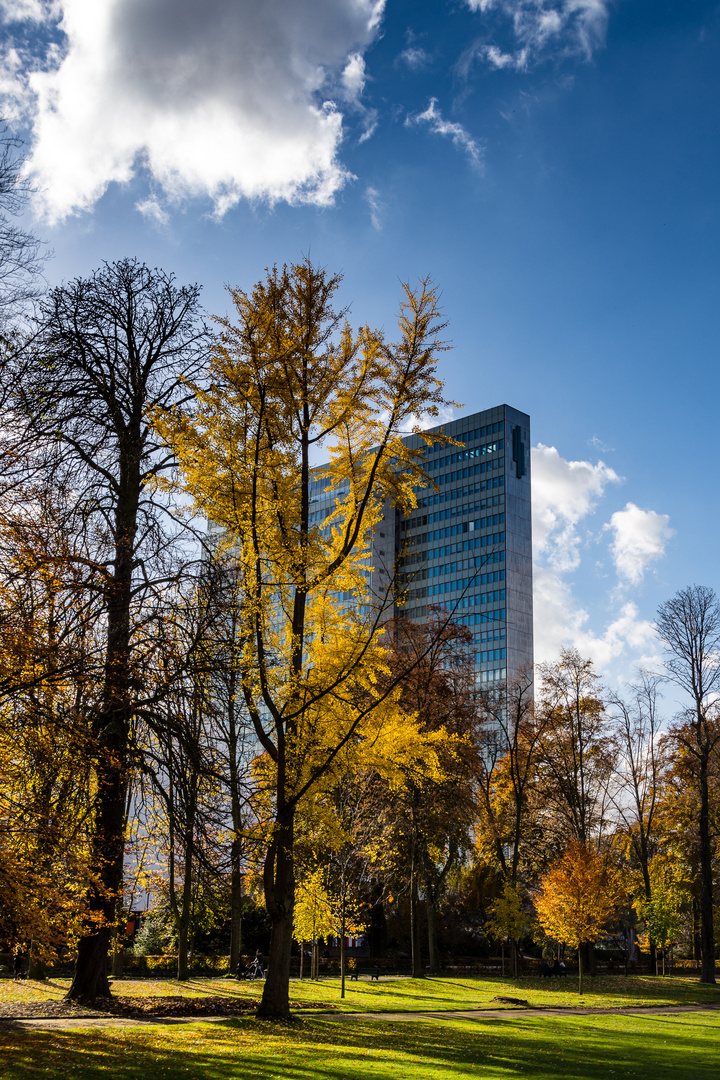 Düsseldorfer Hofgarten im Herbst